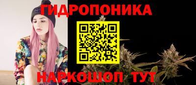 мяу мяу мука Малгобек