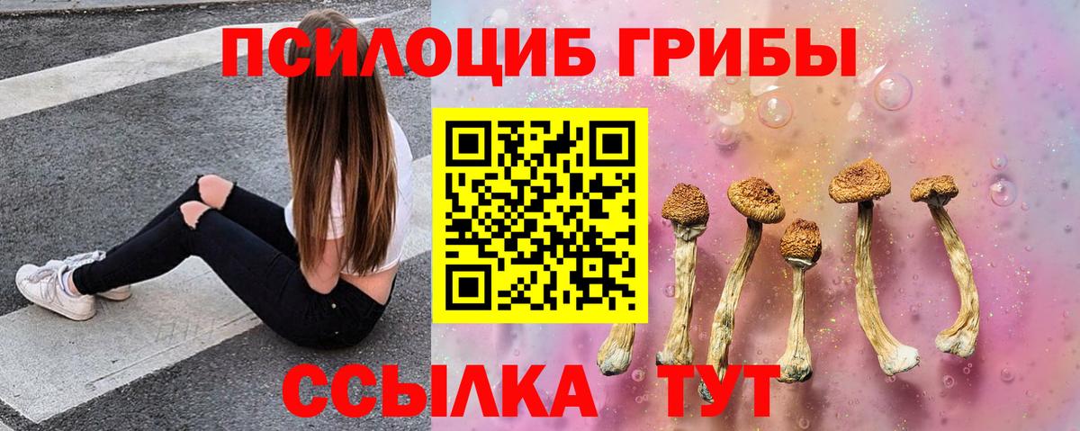 Ефремов  Галлюциногенные грибы Psilocybe  Вход с VPN  Галлюциногенные грибы Cubensis 