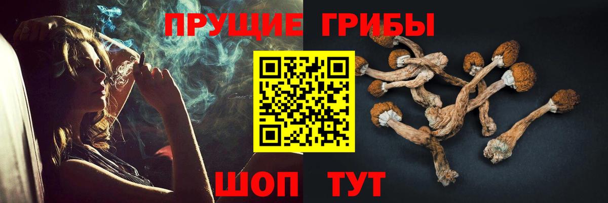 Галлюциногенные грибы Psilocybine cubensis Ефремов