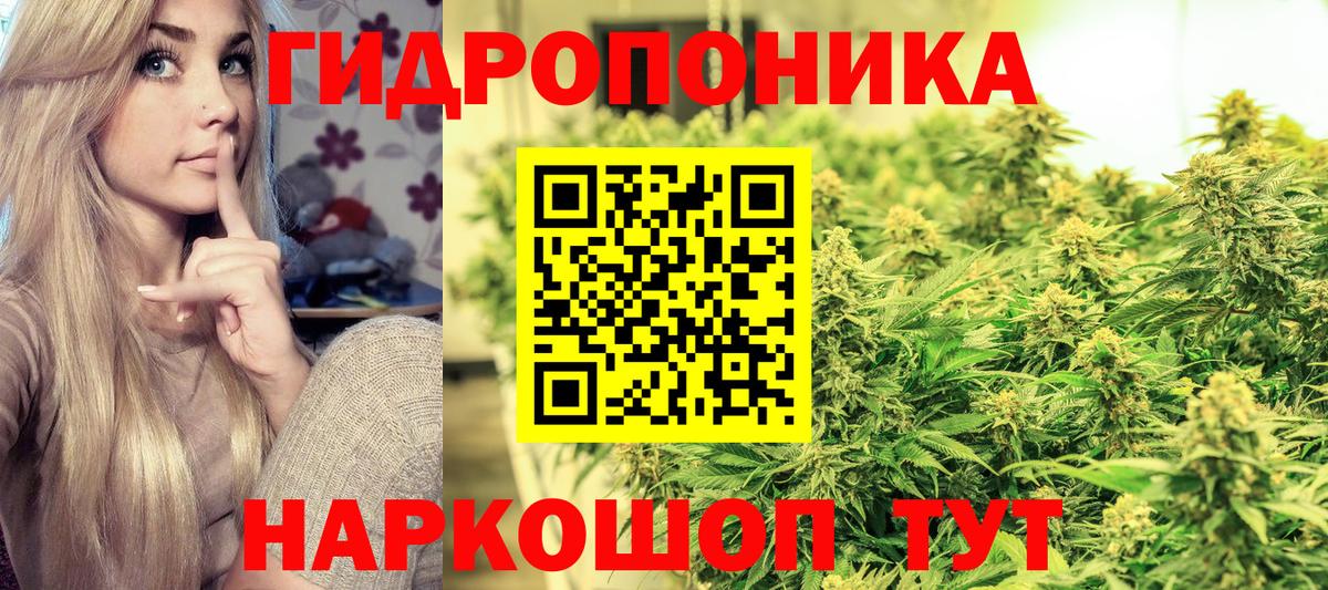 Шишки марихуана марихуана  Канабис MAZAR  Вход с VPN  Каннабис сатива  Канабис конопля  Ефремов 